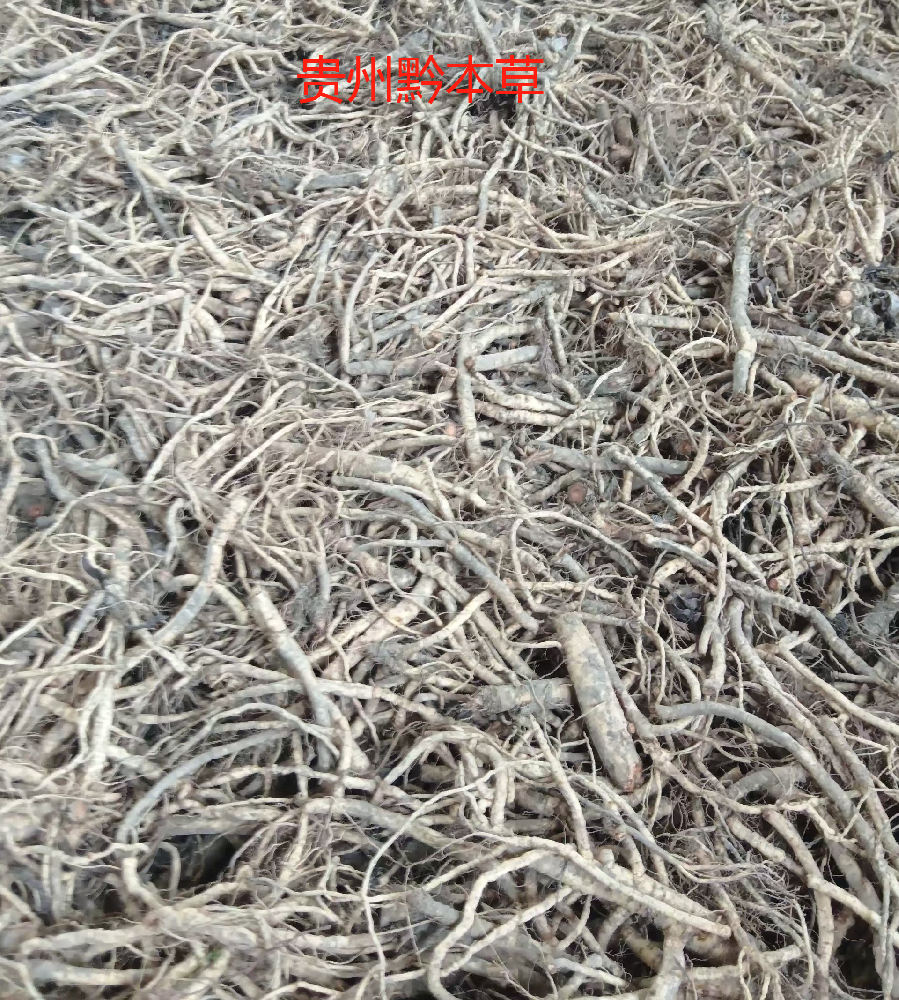 4eb56dd9eaa6d8fe57e01ea1a17414f.png