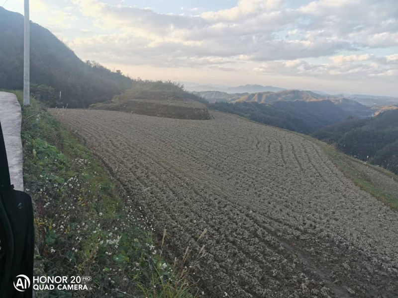 土地出租或转让