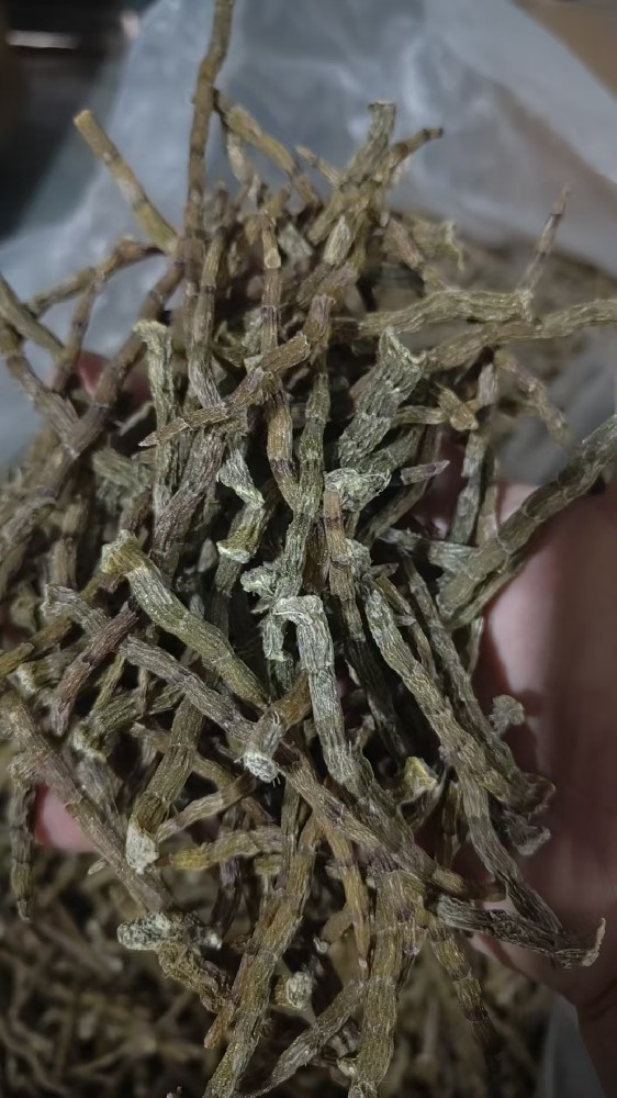 收购大量各种规格石斛！！！！