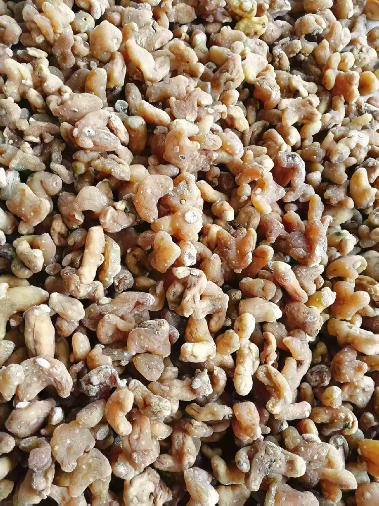 求购： 8克以上的滇黄精干货！！！