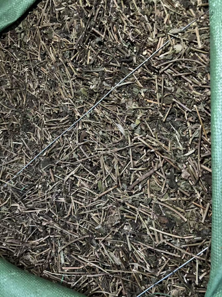 低价出售千里光